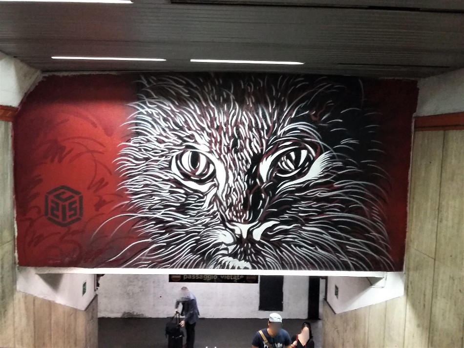 C215 (F), Metro Spagna